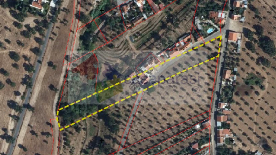 Terreno para Venda em Ponte de Sor, Tramaga e Vale de Açor