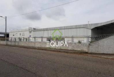 Loja para Venda em Muge