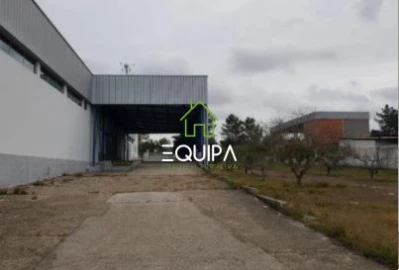Loja para Venda em Muge