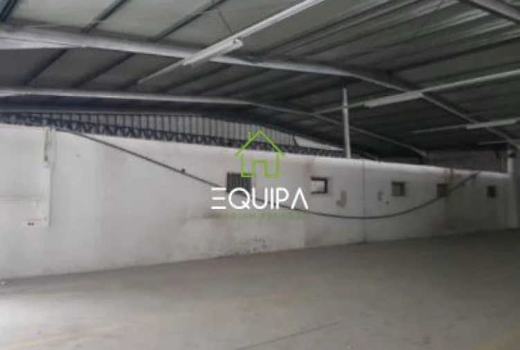 Loja para Venda em Muge Foto 20