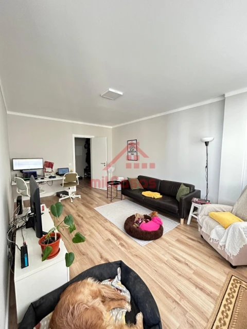 Apartamento T2 para Arrendamento em Santa Maria, São Pedro e Matacães