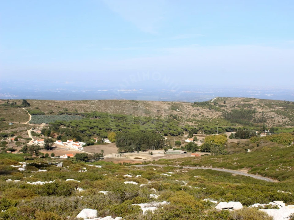 Terreno para Venda em Lamas e Cercal Foto 15