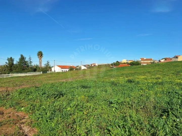 Terreno para Venda em Lamas e Cercal