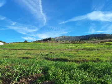 Terreno para Venda em Lamas e Cercal