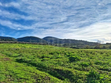 Terreno para Venda em Lamas e Cercal