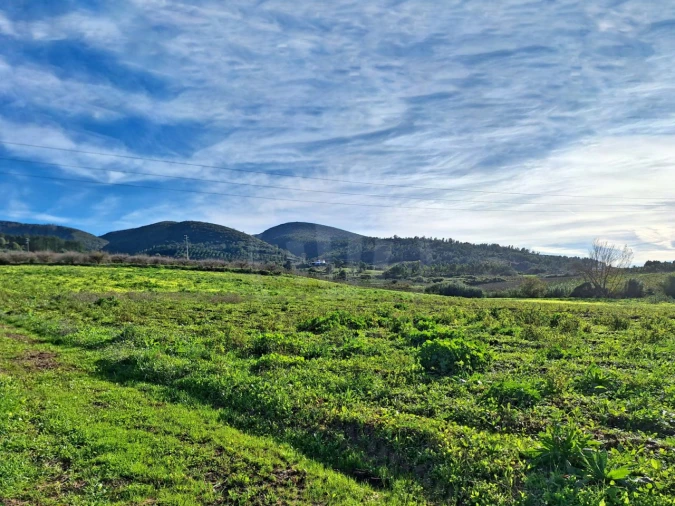 Terreno para Venda em Lamas e Cercal Foto 12
