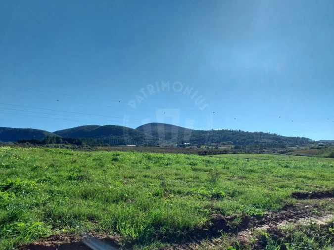 Terreno para Venda em Lamas e Cercal Foto 13