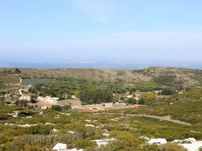 Terreno para Venda em Lamas e Cercal Foto 15