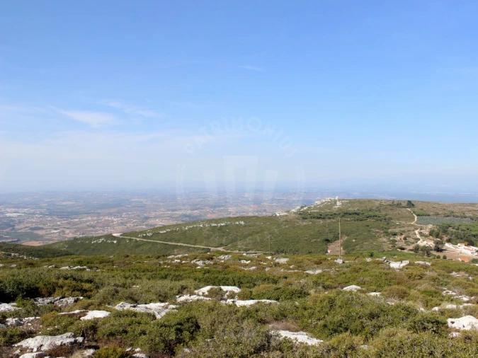 Terreno para Venda em Lamas e Cercal Foto 16