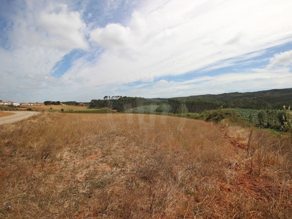 Terreno para Venda em Lamas e Cercal Foto 12