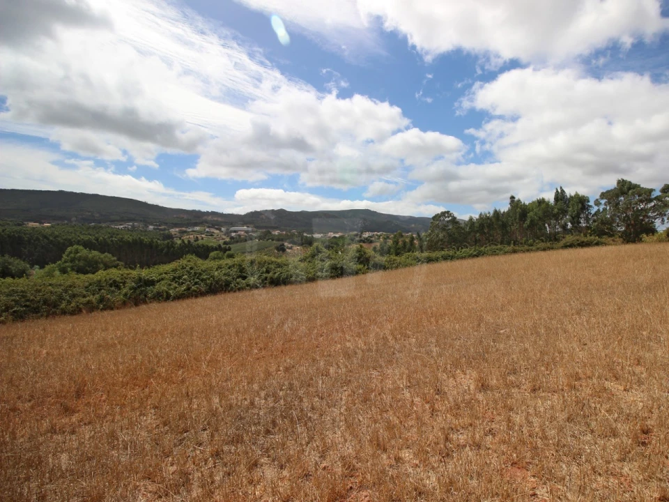 Terreno para Venda em Lamas e Cercal Foto 20
