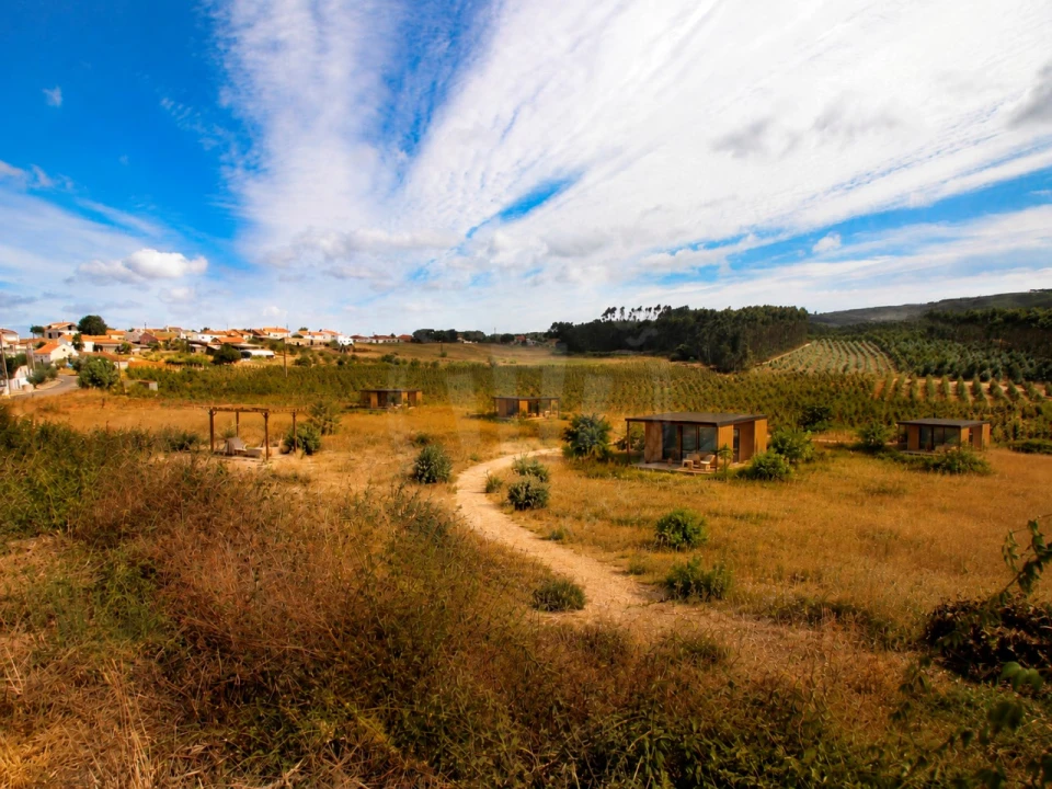 Terreno para Venda em Lamas e Cercal Foto 3