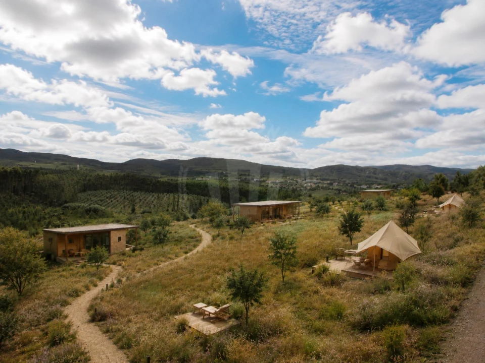 Terreno para Venda em Lamas e Cercal Foto 5