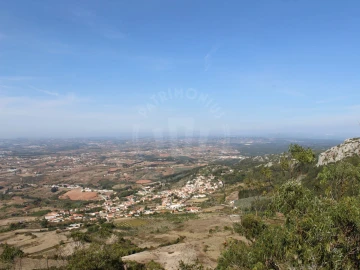 Terreno para Venda em Lamas e Cercal