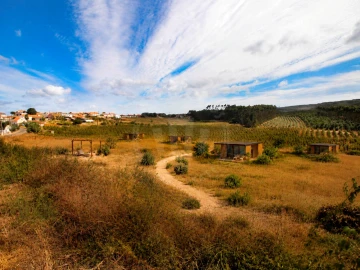 Terreno para Venda em Lamas e Cercal