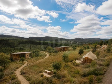 Terreno para Venda em Lamas e Cercal