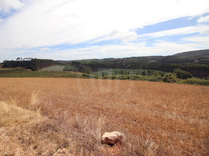 Terreno para Venda em Lamas e Cercal Foto 9