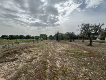 Terreno para Venda em Coruche, Fajarda e Erra