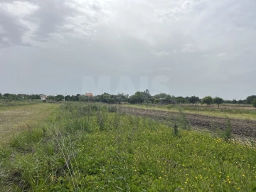 Terreno para Venda em Coruche, Fajarda e Erra