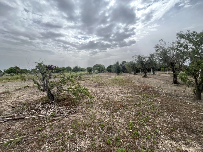 Terreno para Venda em Coruche, Fajarda e Erra Foto 4