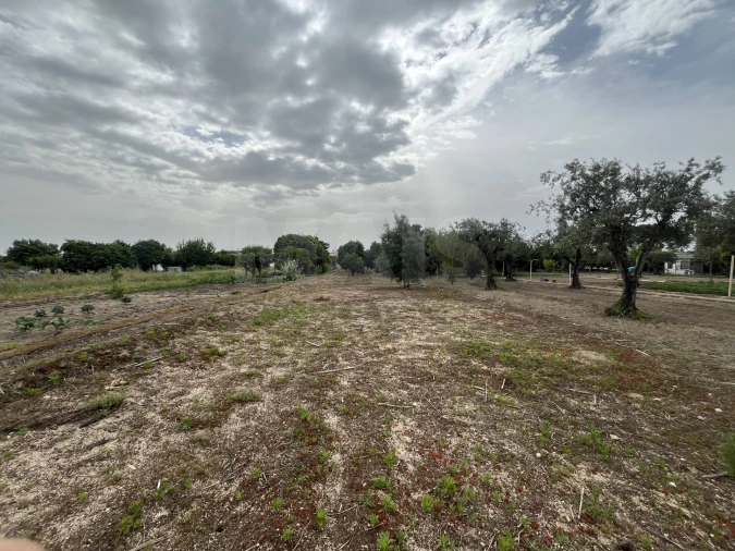 Terreno para Venda em Coruche, Fajarda e Erra Foto 2