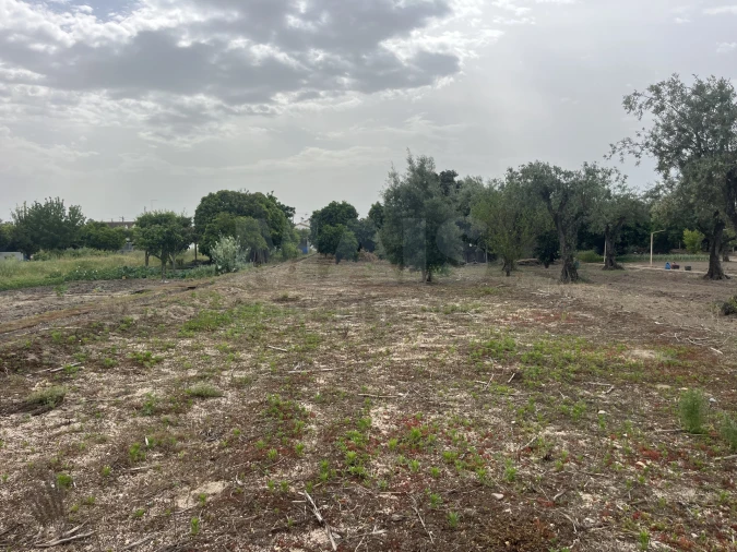 Terreno para Venda em Coruche, Fajarda e Erra Foto 3