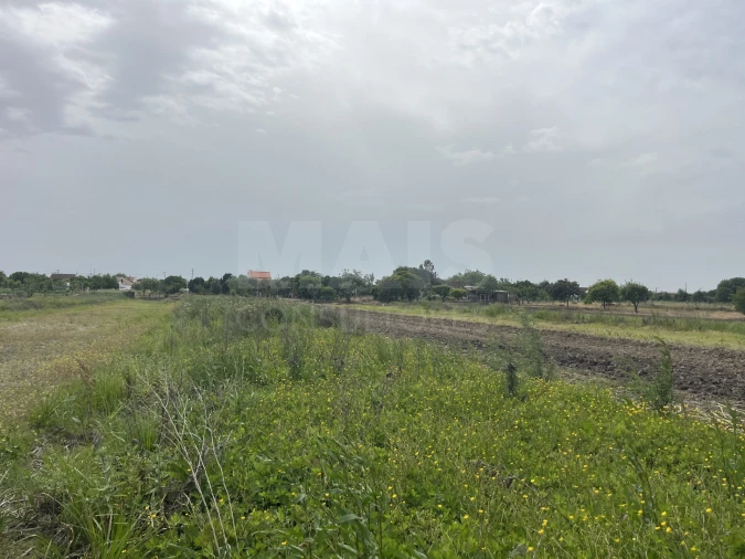 Terreno para Venda em Coruche, Fajarda e Erra Foto 6