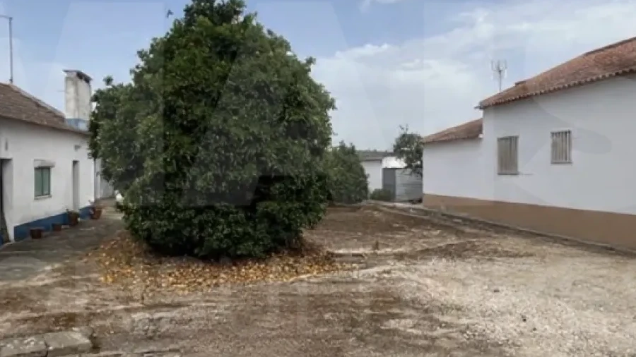 Terreno para Venda em Coruche, Fajarda e Erra