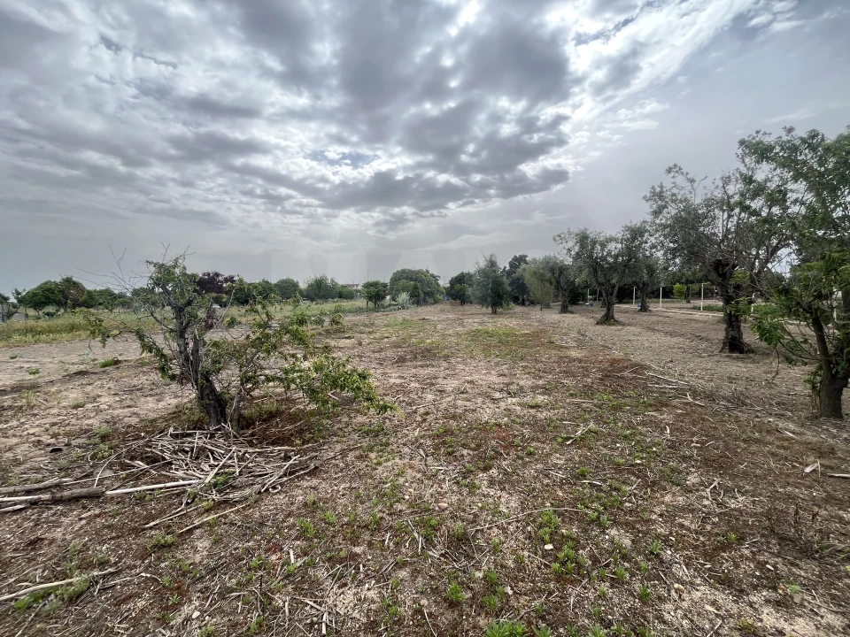 Terreno para Venda em Coruche, Fajarda e Erra Foto 4