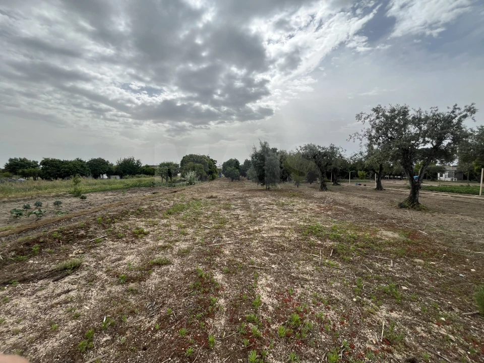 Terreno para Venda em Coruche, Fajarda e Erra Foto 2