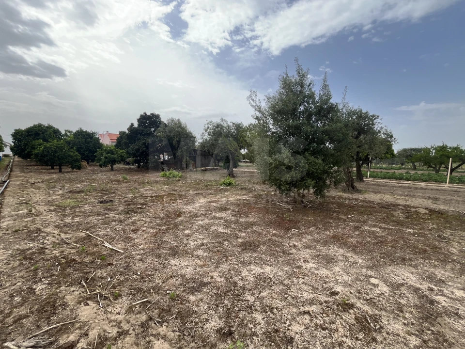 Terreno para Venda em Coruche, Fajarda e Erra Foto 5