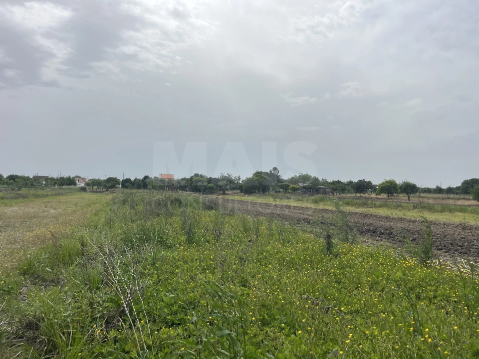 Terreno para Venda em Coruche, Fajarda e Erra Foto 6