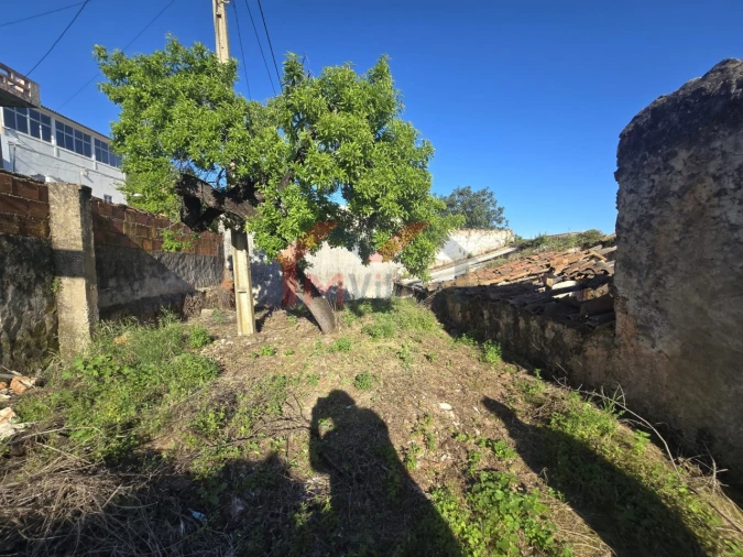 Moradia T3 para Venda em Salir Foto 12