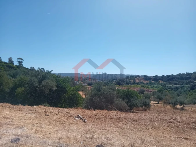 Moradia T2 para Venda em Querença, Tôr e Benafim Foto 5