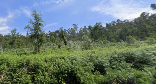 Terreno para Venda em Arrifana