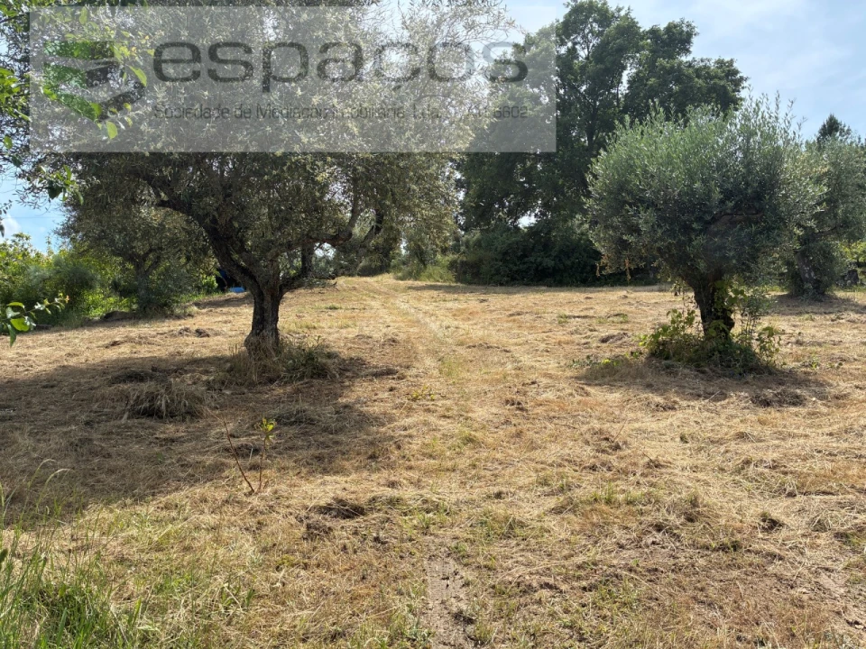 Terreno para Venda em Alcaria Foto 2