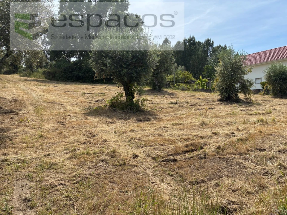 Terreno para Venda em Alcaria Foto 3