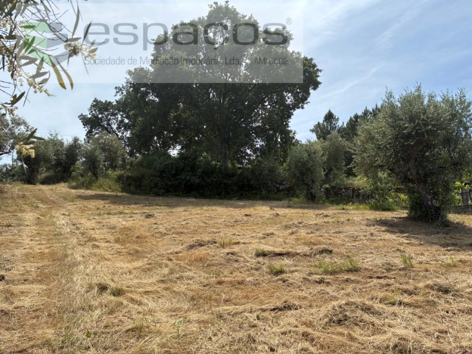 Terreno para Venda em Alcaria Foto 4