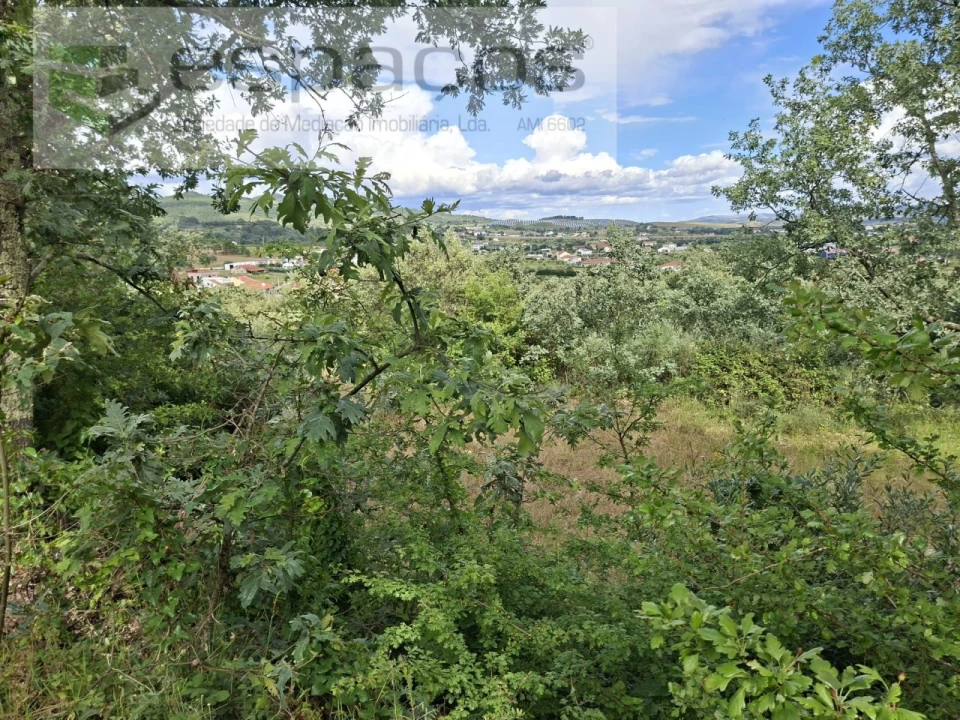 Terreno para Venda em Alcaria Foto 11