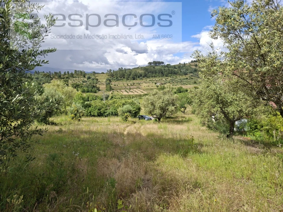 Terreno para Venda em Alcaria Foto 9