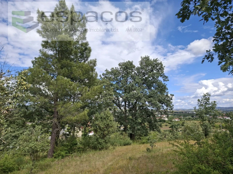 Terreno para Venda em Alcaria Foto 10