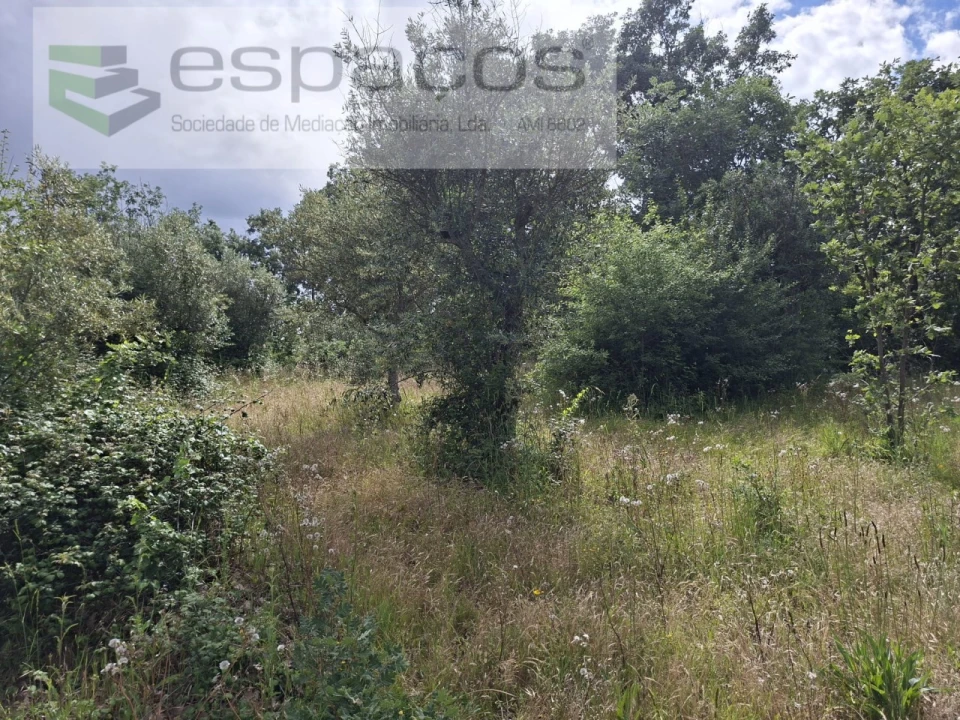 Terreno para Venda em Alcaria Foto 14