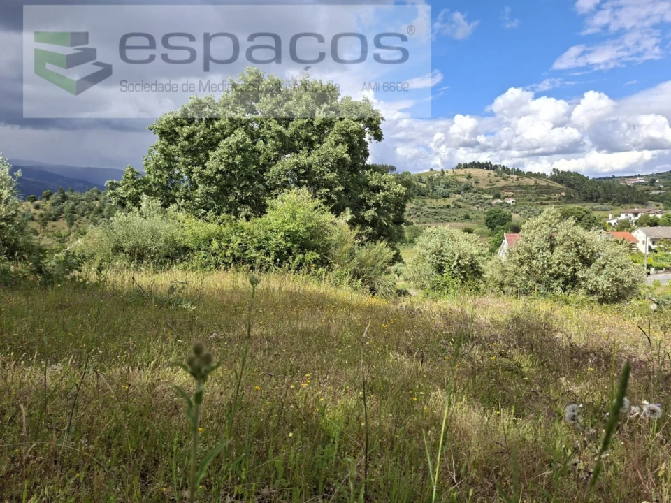 Terreno para Venda em Alcaria Foto 16