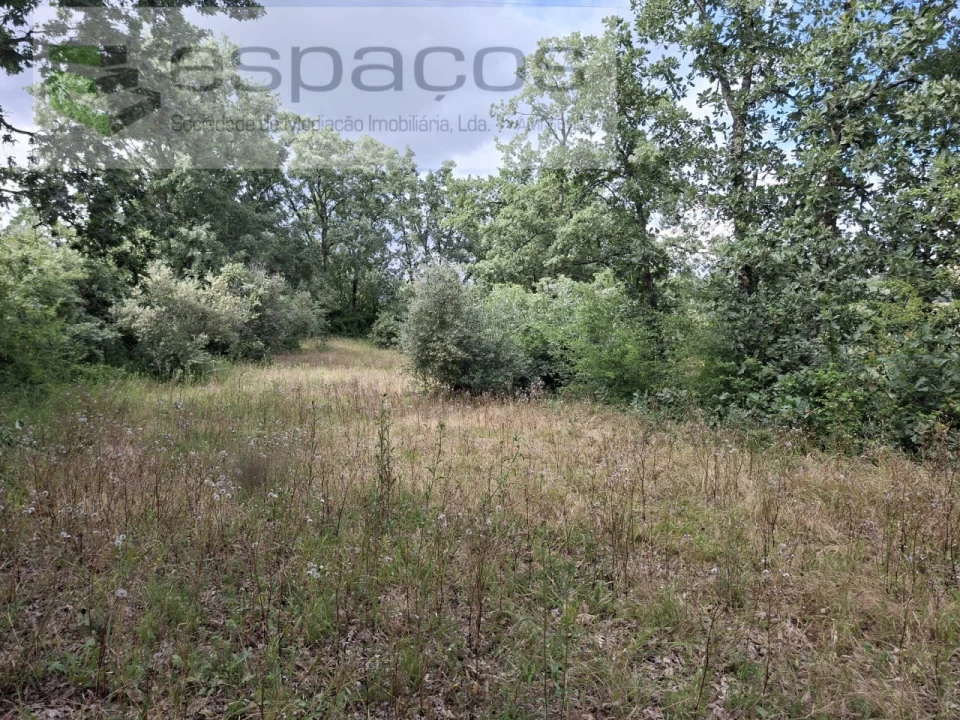 Terreno para Venda em Alcaria Foto 20