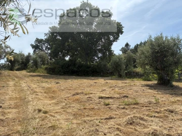 Terreno para Venda em Alcaria