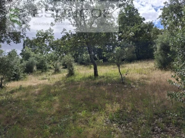 Terreno para Venda em Alcaria
