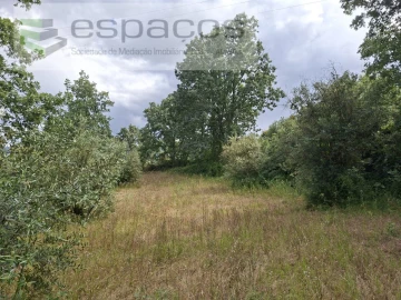 Terreno para Venda em Alcaria