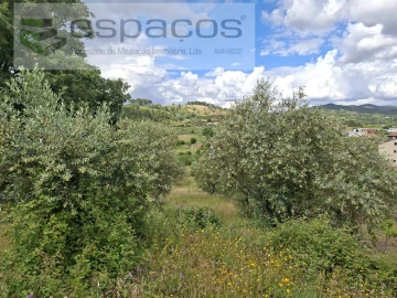 Terreno para Venda em Alcaria