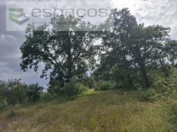 Terreno para Venda em Alcaria