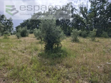 Terreno para Venda em Alcaria